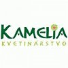 Ľubica Hricová - KAMELIA